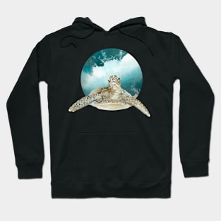 Painted turtle with ocean/sea background Hoodie